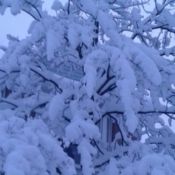 Meet your Posher, Barbara - Picture 1 of 1